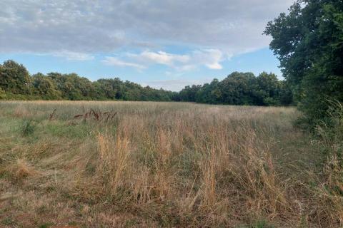 Istra,Prodol, građevinsko zemljište 1000 m2