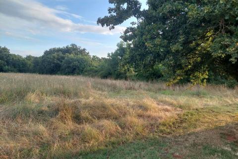 Istra,Prodol, građevinsko zemljište 1000 m2