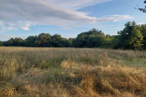 Istra,Prodol, građevinsko zemljište 1000 m2