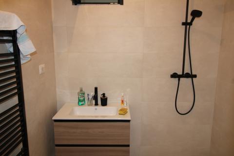 Istra, Baderna-kuća u visokoj roh-bau fazi 