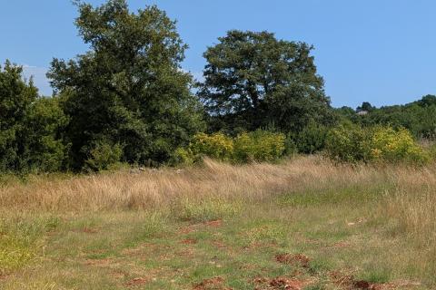 Земельный участок строительного назначения Rovinjsko Selo, Rovinj, 809m2