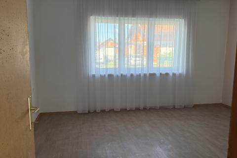 Petrinja, Centar - kuća s dva etažirana stana,6 soba, pomoćnom zgradom i garažom