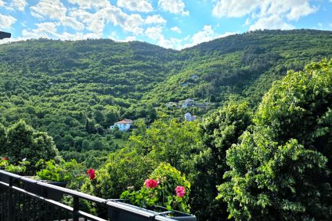 Brseč - dvojna kuća s pogledom na šumu