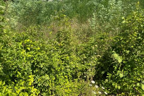 Viškovo, građevinski teren 2611m2