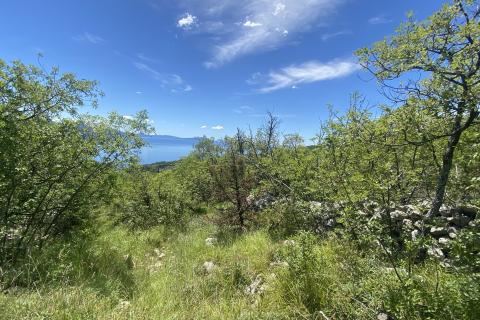 Bauland Brseč, Mošćenička Draga, 1.258m2