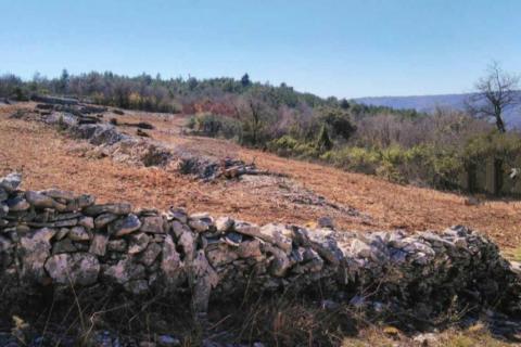 Istra, Trget - poljoprivredno zemljište