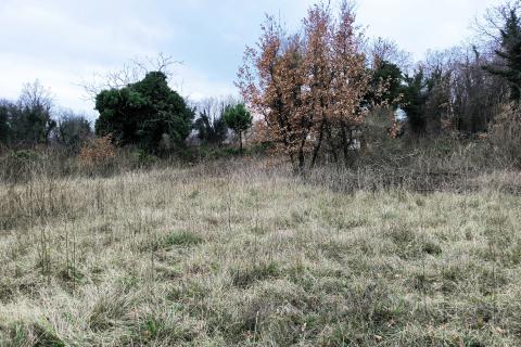 Istra, Trget - poljoprivredno zemljište