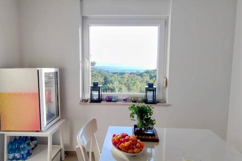 SELCE- apartman s pogledom na more i bazenom 