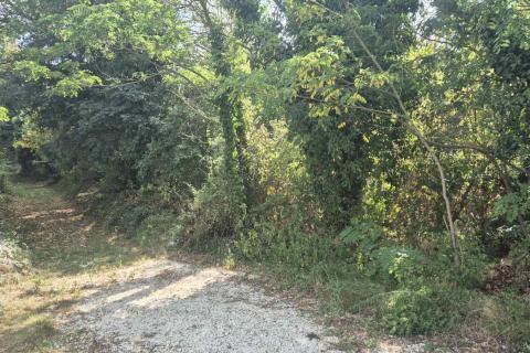 Istra, Tinjan okolica građevinsko poljoprivredno zemljište