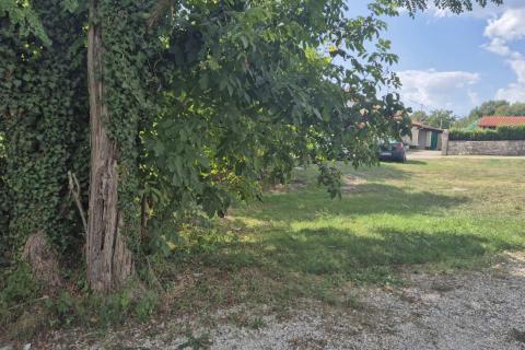 Istra, Tinjan okolica građevinsko poljoprivredno zemljište