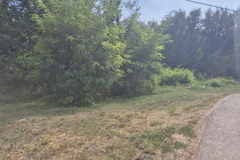 Istra, Tinjan okolica građevinsko poljoprivredno zemljište