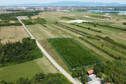 Velika Gorica, Vukovina, poljoprivredno zemljište s plantažnim nasadom crnog oraha