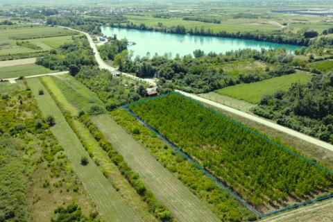 Velika Gorica, Vukovina, poljoprivredno zemljište s plantažnim nasadom crnog oraha