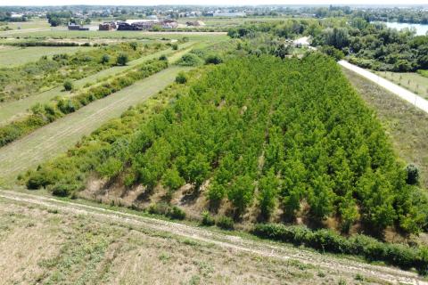Velika Gorica, Vukovina, poljoprivredno zemljište s plantažnim nasadom crnog oraha