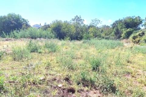  Istra, Umag - građevinsko zemljište s projektom kuće s bazenom 