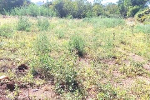  Istra, Umag - građevinsko zemljište s projektom kuće s bazenom 