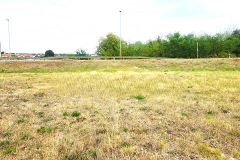 Istra,Umag,okolica-Građevinsko zemljište za 8 stanova