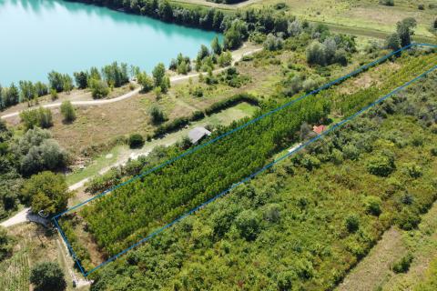 Velika Gorica, Vukovina, zemljište 8.103 m2, plantaža crnog oraha