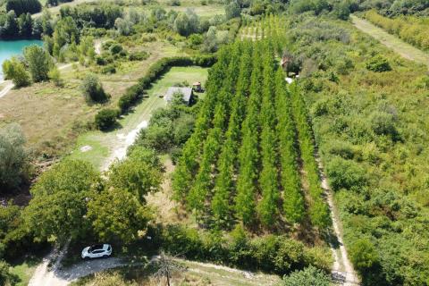 Velika Gorica, Vukovina, zemljište 8.103 m2, plantaža crnog oraha