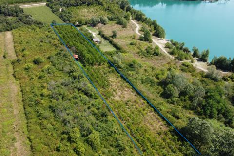 Velika Gorica, Vukovina, zemljište 8.103 m2, plantaža crnog oraha