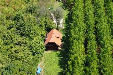 Velika Gorica, Vukovina, zemljište 8.103 m2, plantaža crnog oraha