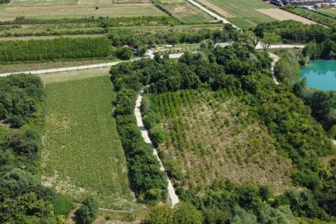 Velika Gorica, Vukovina, zemljište 6.481 m2, plantaža crnog oraha