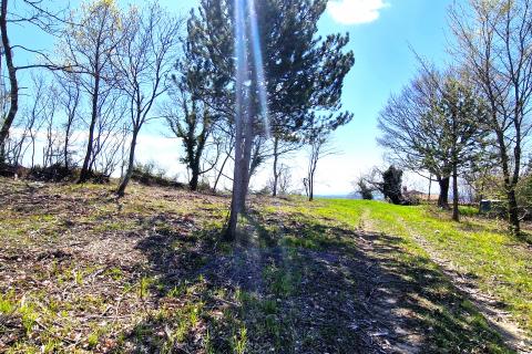 Istra,Krasica-Građevinsko zemljište s pogledom na more