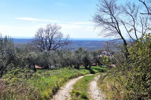 Istra,Krasica-Građevinsko zemljište s pogledom na more