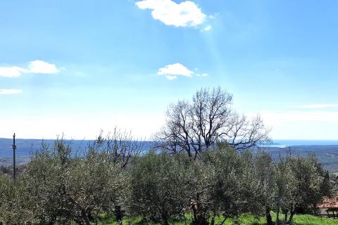 Istra,Krasica-Građevinsko zemljište s pogledom na more