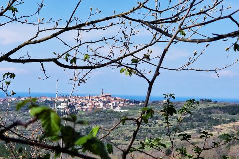 Istra,Krasica-Građevinsko zemljište s pogledom na more