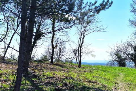 Istra,Krasica-Građevinsko zemljište s pogledom na more