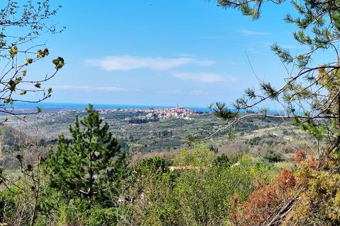 Istra,Krasica-Građevinsko zemljište s pogledom na more
