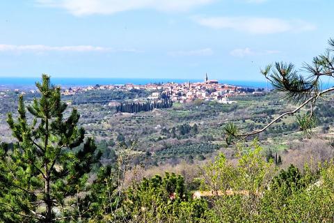 Istra,Krasica-Građevinsko zemljište s pogledom na more