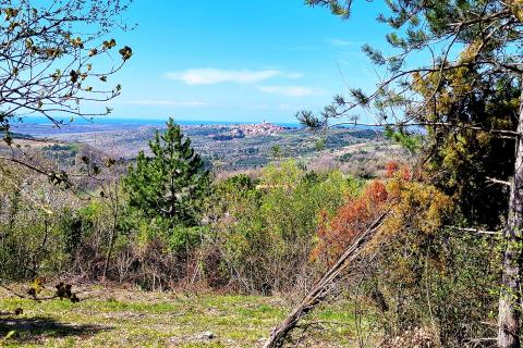 Istra,Krasica-Građevinsko zemljište s pogledom na more