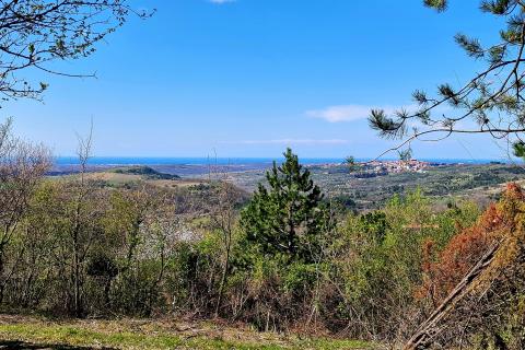 Istra,Krasica-Građevinsko zemljište s pogledom na more