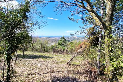 Istra,Krasica-Građevinsko zemljište s pogledom na more