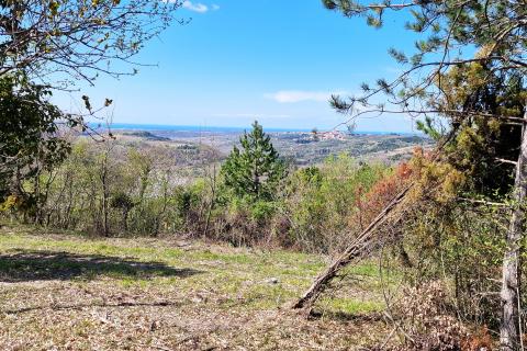 Istra,Krasica-Građevinsko zemljište s pogledom na more