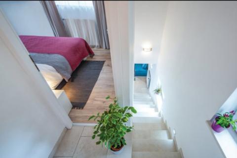 Istra, Sveti Petar u Šumi okolica samostojeća kuća sa okućnicom