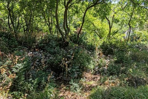 Rijeka, Svilno - građevinsko zemljište, 2125 m2 