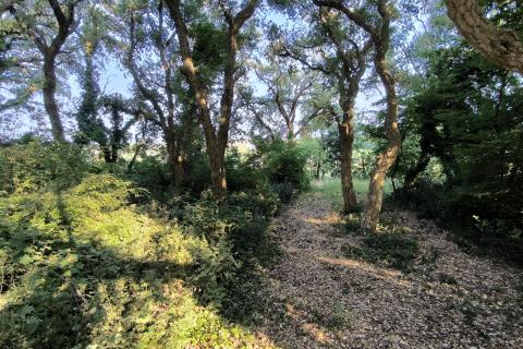 Istra, Marčana - kombinirano građevinsko zemljište 