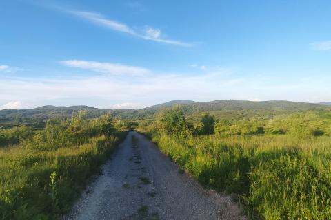 Plaški-Kunić, veliko seosko imanje 
