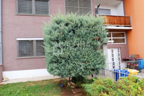 House Kromosovo naselje, Velika Gorica, 222m2