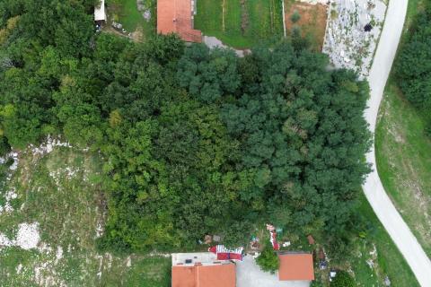ISTRIA, PIĆAN – Building Land 1,364 m²