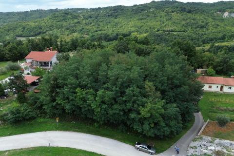 ISTRIA, PIĆAN – Building Land 1,364 m²