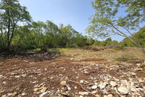 Istra, Buje okolica, negrađevinsko zemljište 16 170 m2