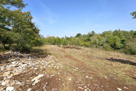 Istra, Buje okolica, negrađevinsko zemljište 16 170 m2