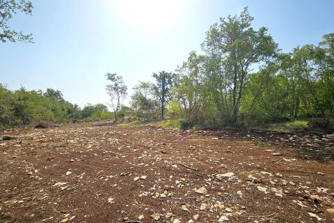 Istra, Buje okolica, negrađevinsko zemljište 16 170 m2