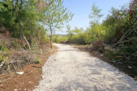 Istra, Buje okolica, negrađevinsko zemljište 16 170 m2