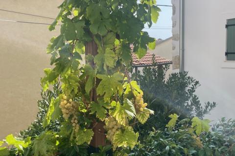 Insel Krk, Dobrinj, Haus mit Dachterrasse und Meerblick