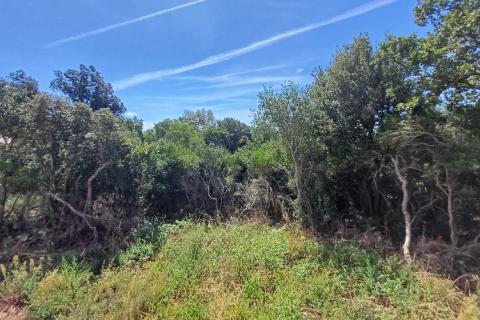 Building plot Barbariga, Vodnjan, 1.236m2